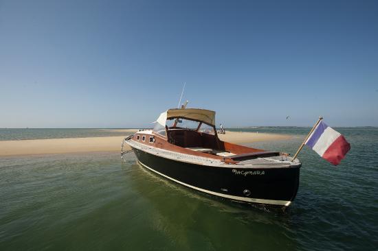 Séjour Landes - les-pinasses-du-bassin