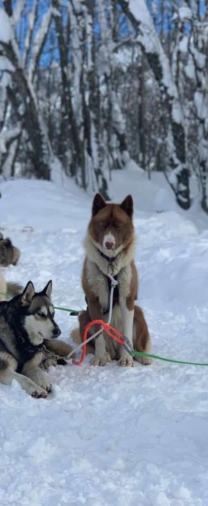 Le Séminaire résidentiel X Sight Travel